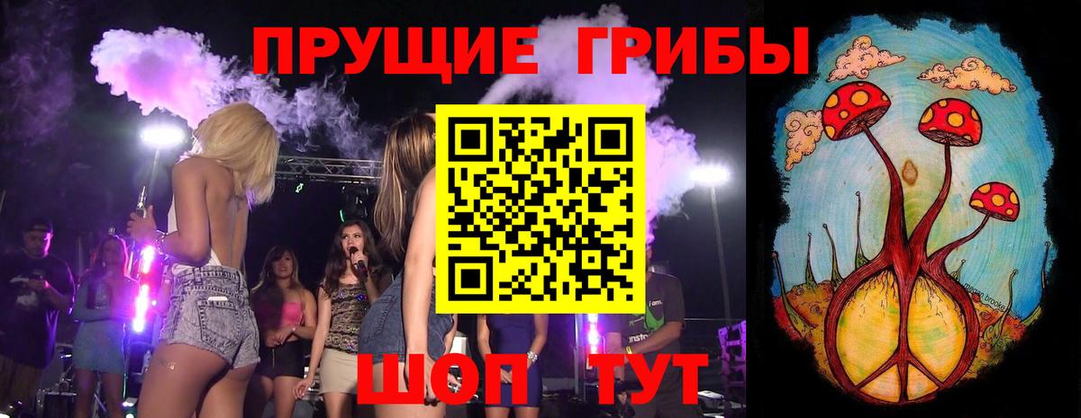 Псилоцибиновые грибы Cubensis Полевской