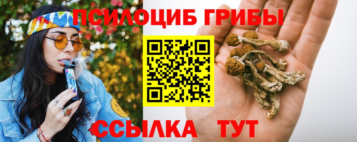 Полевской  Галлюциногенные грибы MAGIC MUSHROOMS  Вход с VPN 